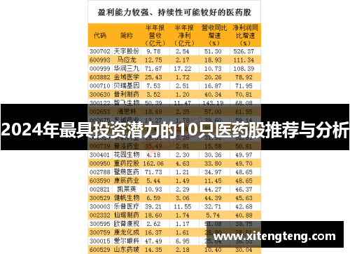 2024年最具投资潜力的10只医药股推荐与分析