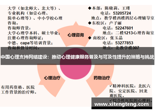 中国心理支持网络建设：推动心理健康服务普及与可及性提升的策略与挑战