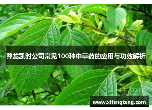 尊龙凯时公司常见100种中草药的应用与功效解析